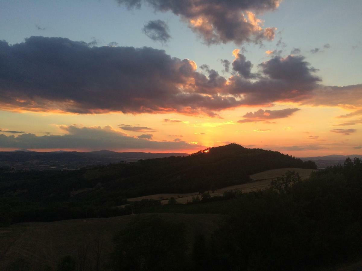 Umbria, "Casa Sagrantina" Con Piscina E Pergolato Lägenhet Collazzone Exteriör bild