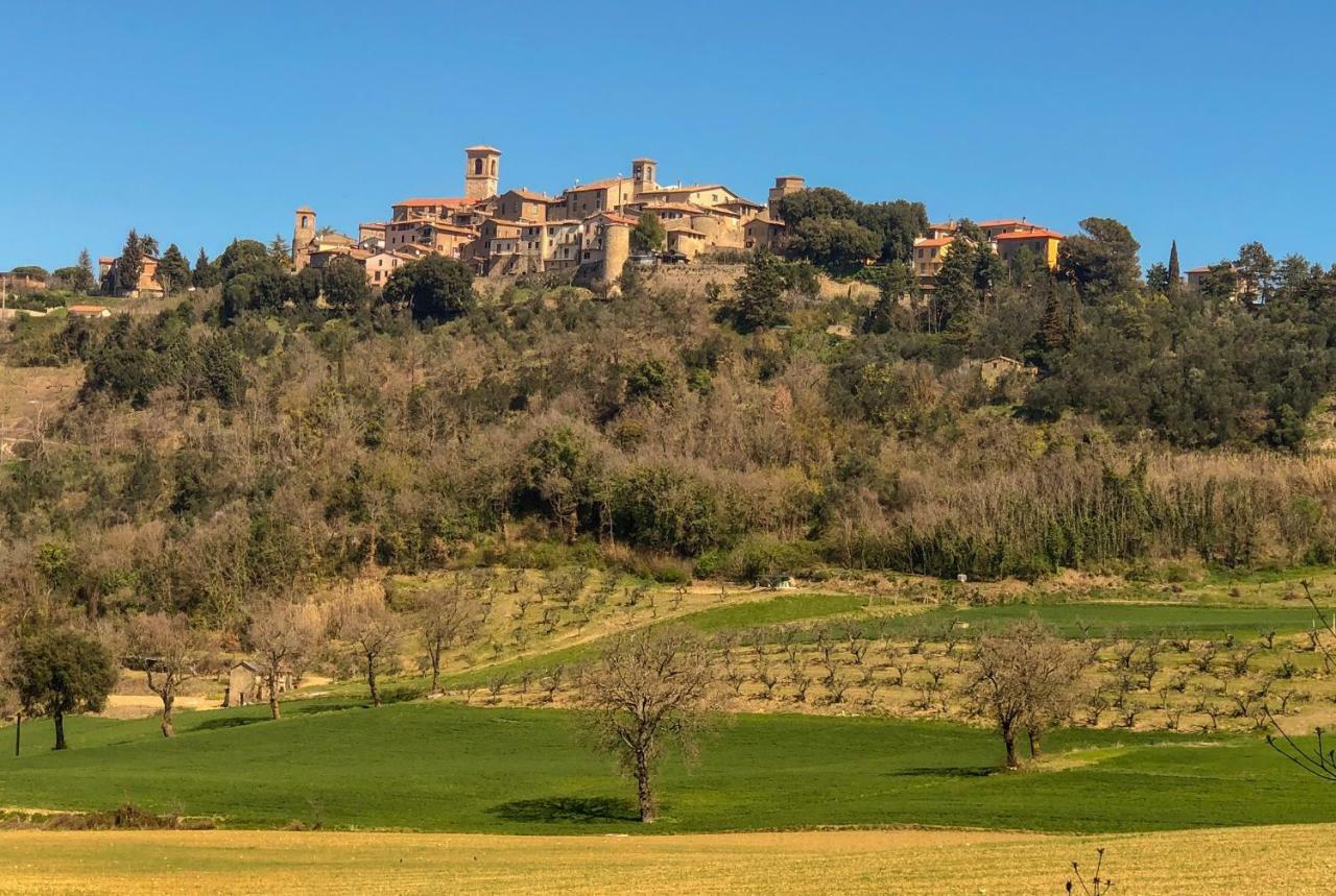 Umbria, "Casa Sagrantina" Con Piscina E Pergolato Lägenhet Collazzone Exteriör bild